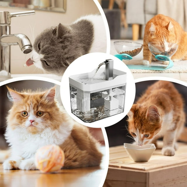 Automatic Pet Water Fountain with Silent Pump, 1500ml Capacity - Circulating Drinking Dispenser for Cats and Small Dogs, BPA-Free