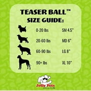 Jolly Pets Puncture Resistant Teaser Ball with Inside Ball, Blue