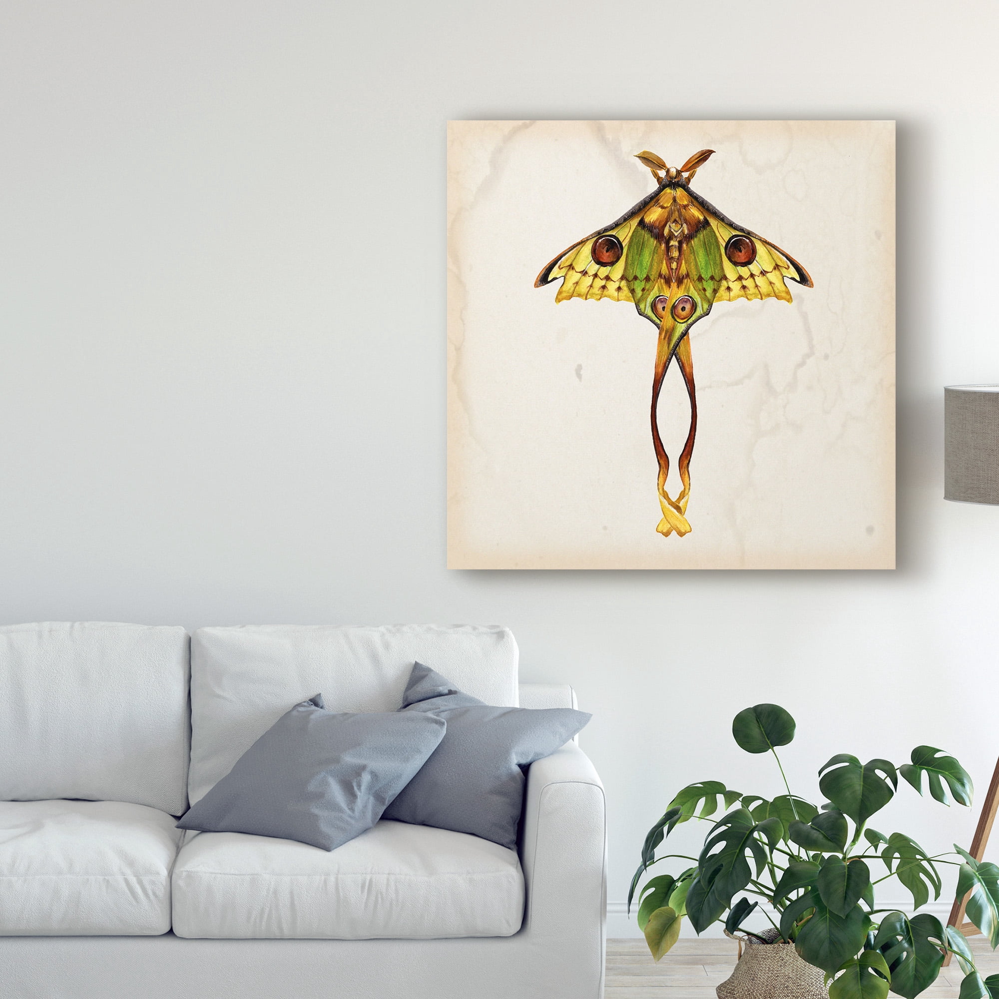 Trademark Fine Art Animals Canvas Art ' Butterfly Study I ' by Melissa Wang