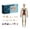 A, variant on Transparent Human Body Structure Model Kit Transparent 3D Human Torso Model DIY Detachable Anatomical Figure Organizer Suitable For 6+ Years Old Halloween Christmas Toys