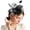 Black, variant on VJGBEGW Fascinator Hat with Mesh Fascinators Headband for Women Floral Headpiece with Headband for Tea Party, Wedding