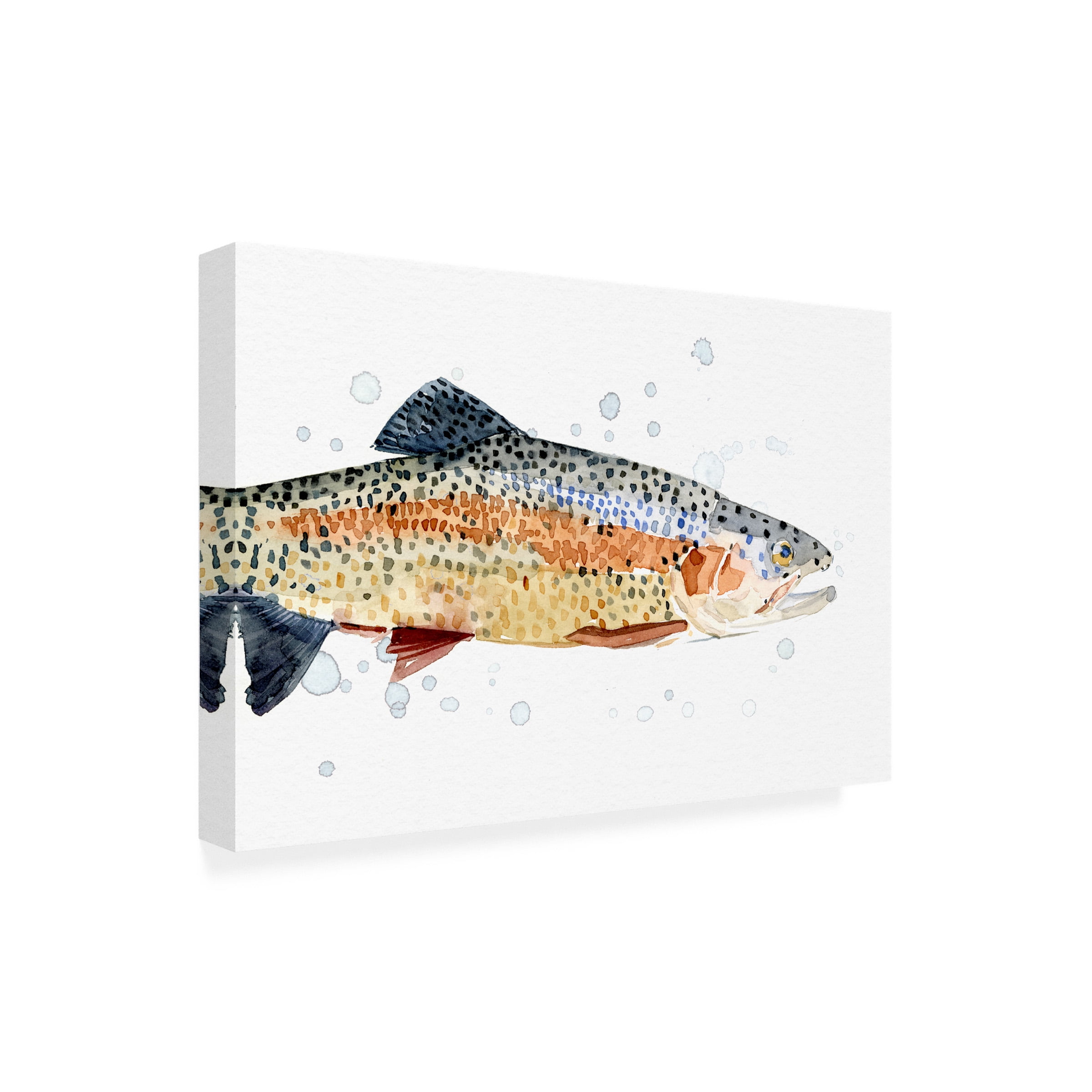 Emma Caroline 'Watercolor Rainbow Trout I' Outdoor All-Weather Wall Decor