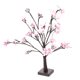 thumbnail image 1 of Light, Battery Powered Desktop Lamp, For Party Improve Atmosphere ANGGREK LED Lamp, 1 of 8