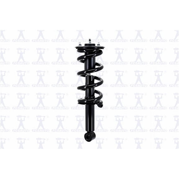 Suspension Strut and Coil Spring Assembly