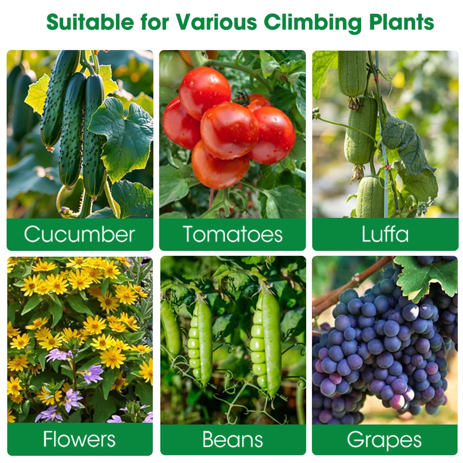 Cucumber Trellis For Raised Bed And Garden  47" H X 31" W U-shaped Metal Climbing Plants With Nylon Netting Vegetable Support Frame