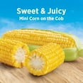 thumbnail image 3 of Birds Eye Extra Sweet Mini Corn On The Cob, Frozen Vegetables, 12-Count, 3 of 9