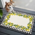 thumbnail image 3 of 2x3 Ft Entryway Area Rug, Summer Lemons Kitchen Rug Runner Washable Floor Mat, Farmhouse Fruits Black Buffalo Plaid Non Slip Indoor Door Mat Throw Carpet for Bathroom Living Room Bedroom, 3 of 8