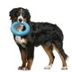 thumbnail image 1 of Juguetes para perros para masticadores agresivos de raza grande,Juguete duradero con anillo para perros,Juguete de goma resistente para perros, 1 of 5