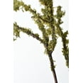 thumbnail image 4 of 25" Faux Moss Twig Branch Stem, 4 of 6