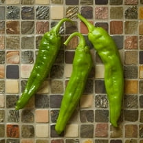 Numex Heritage 6-4 Hatch Chile Hot Pepper Premium Seeds Packet