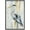 BLACK, variant on wall26 Framed Canvas Print Wall Art Pastel Watercolor Streak Crane Bird Nature Wilderness Illustrations Modern Art Decorative Rustic Relax/Calm for Living Room, Bedroom, Office - 24"x36" Na