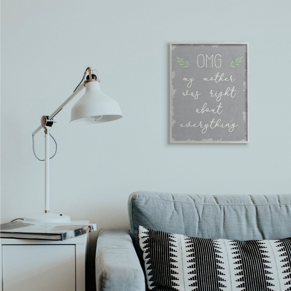 Stupell Industries OMG Mom is Right Funny Family Phrase Text Slang Framed Wall Art Design by Daphne Polselli, 16" x 20", Gray Framed