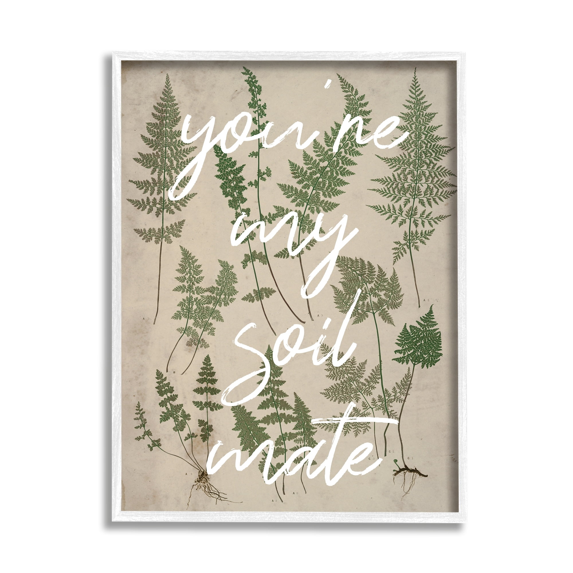 Stupell Industries You're My Soil Mate Rustic Fern Motif Calligraphy Framed Wall Art, 11 x 14, Design by Lil' Rue