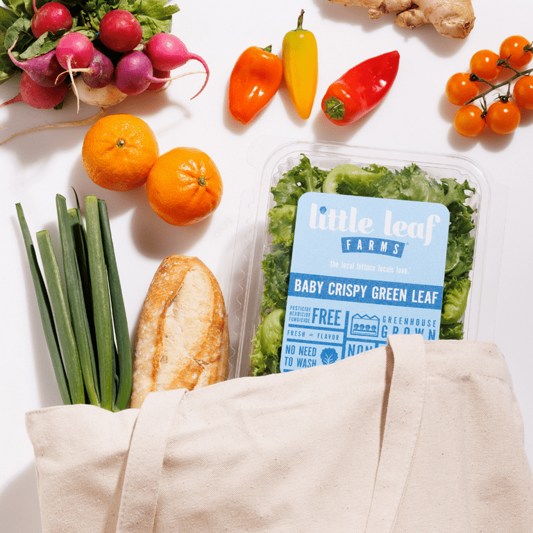 Little Leaf Farms Baby Crispy Green Leaf Lettuce Salad, 8 oz Clam Shell, Fresh