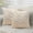 Green #0, variant on Faux Lambswool Decorative Throw Pillow Cover 18x18 inch, Soft Plush Cushion Case with Hidden Zipper for Sofa Couch Home Decor, Machine Washable Square Pillowcase, White Beige Pink Gray