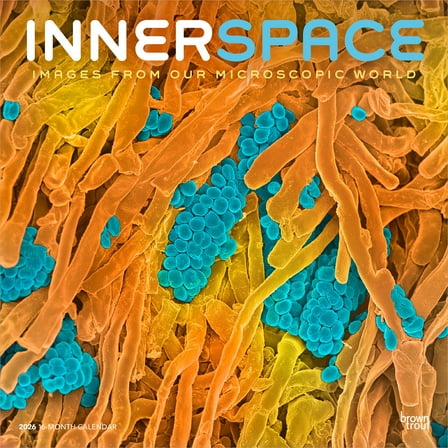 Microscopic World of Innerspace | 2026 12x24" (Hanging) Wall Calendar | BrownTrout