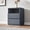 Gray-Side Cabinet, variant on 26.2"H Modern Gray Drawers Cabinet Sideboard Freestanding Storage Cabinet, Floor Cabinet Nightstands with 2 Drawers for Living Room and Bed Room, Pack of Two