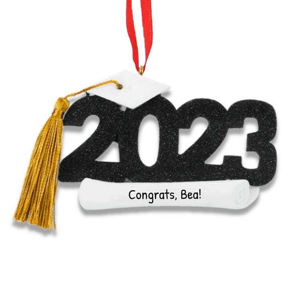 Ornaments by Elves Personalized Graduation Christmas Tree Ornaments 2024 Holiday Decoration .25lbs