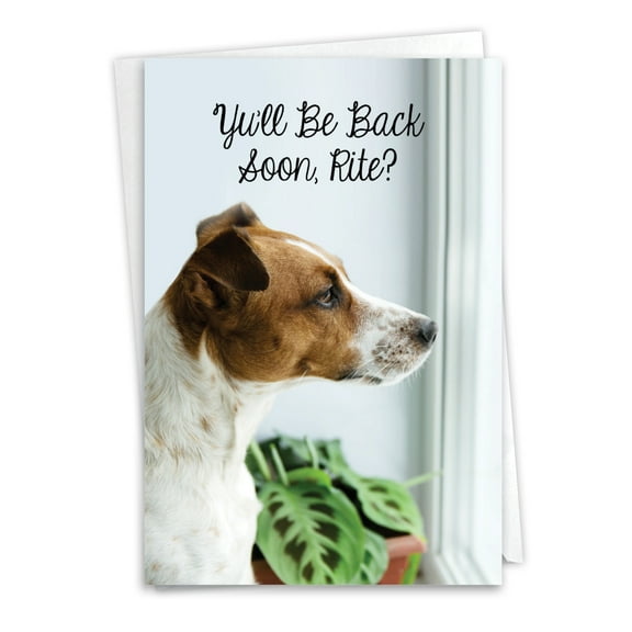 1 Miss You Card with Envelope - Miss U Doggies Back Soon C9157DMYG