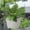 Beige, variant on Flowerpots with Dish Ceramic, Yirtree Hanging Planter Indoor Hanging Basket Plant Pot Outdoor Flower Pots with Holes Resin Black Hanging Flower Pot for Outdoor, Flower Pots