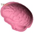 thumbnail image 1 of Halloween Cake Mold Brain Shape Clear Texture Environmentally Friendly Durable Wedding Props Halloween Cake Mold Cake Decorating Tool, 1 of 5