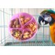 thumbnail image 1 of Juguete giratorio para loros, juguete de alimentación para loros, juguete giratorio para loros, 1 of 5