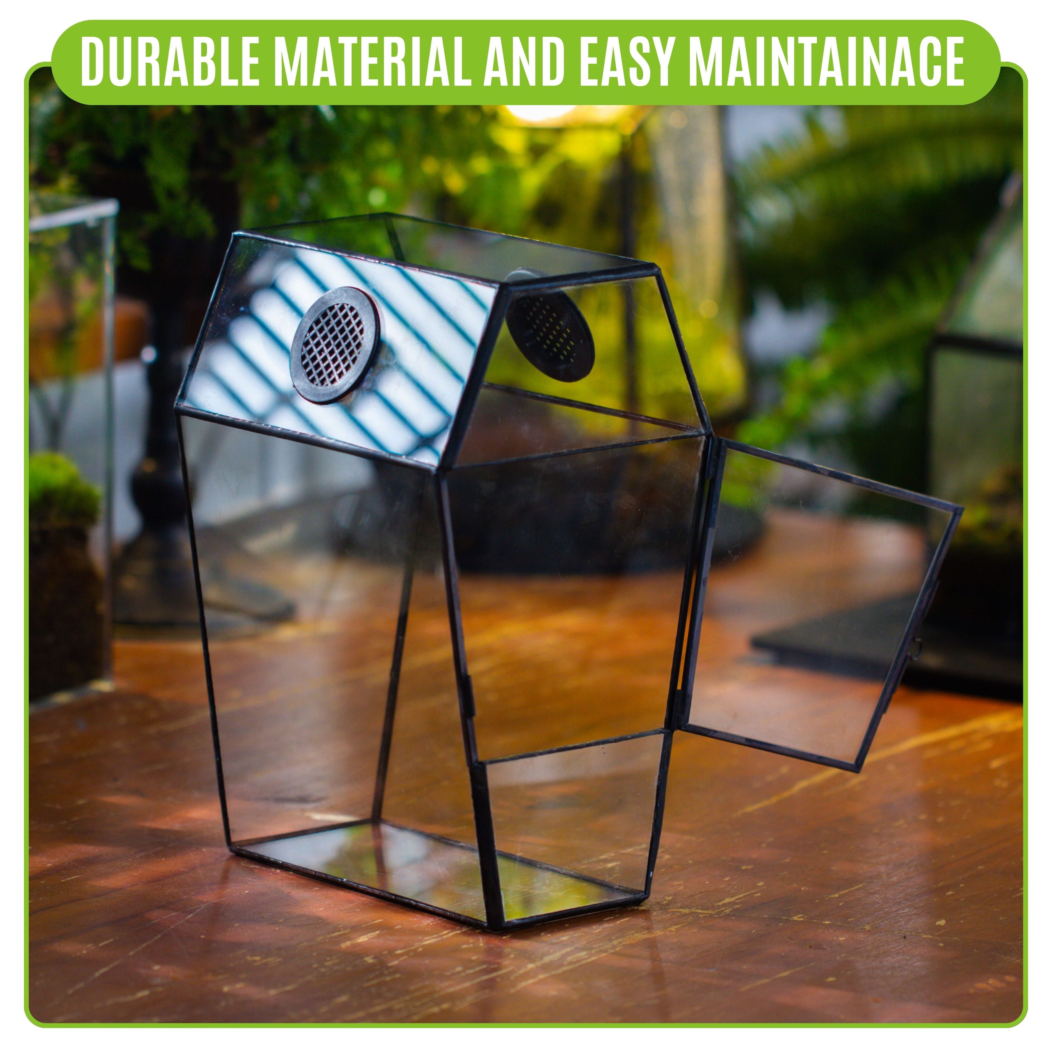 NCYP Gothic Glass Enclosure for Jumping Spider, Snails, Insects - Front Opening Door Geometric Cactus Plants Terrarium with Vent Holes, Indoor Tabletop Coffin Shape Decor, Black (Terrarium Only)
