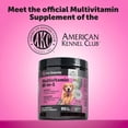 thumbnail image 3 of Pet Honesty Dog Multivitamin Max Strength, 15-in-1 Soft Chews with Glucosamine, Probiotics & Omega 3s – Supports Joint, Heart, Immune, Skin & Coat Health, Salmon Flavor, 90 Ct, 3 of 8