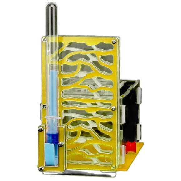 HLONK Ant Farm Interactive Ant Habitat Ant Farm with Live Ants and Queen Customizable Ant Home Ant Farms for Kids Yellow