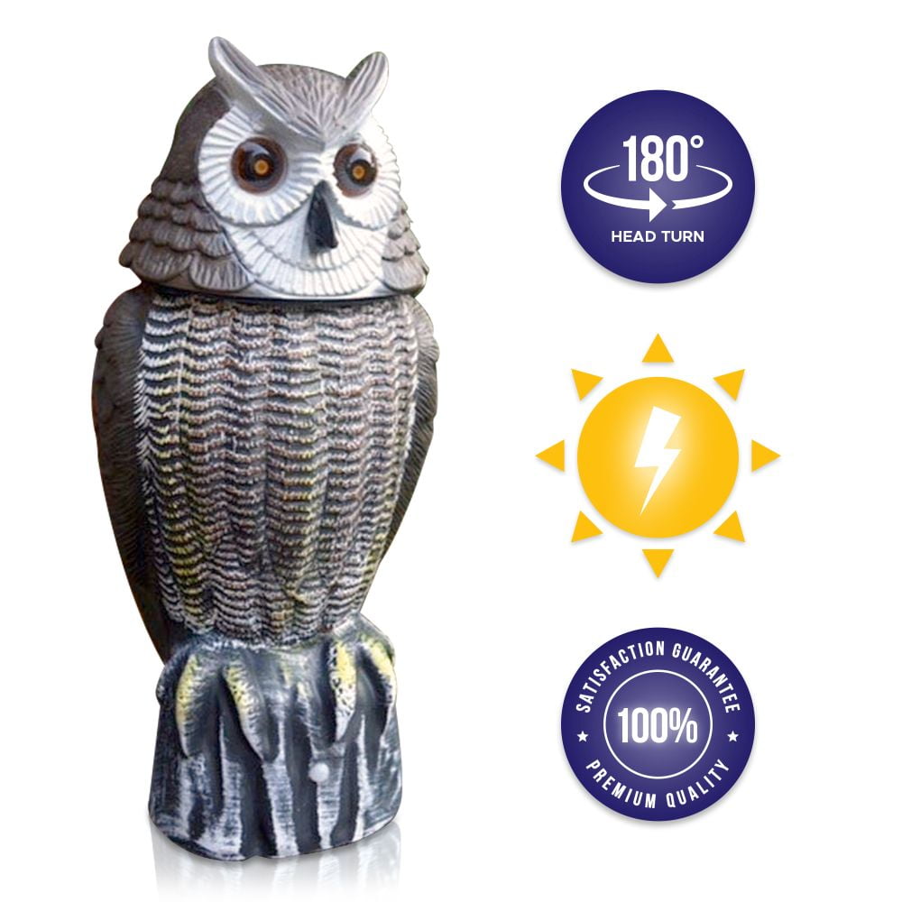 Lijo Solar Owl Animal Scarecrow â€“ Rotating Head Owl Decoy Walmart