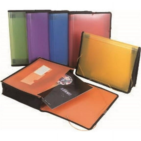 Filexec Single Pocket Expanding File- Letter Size- Assorted- Pack 6