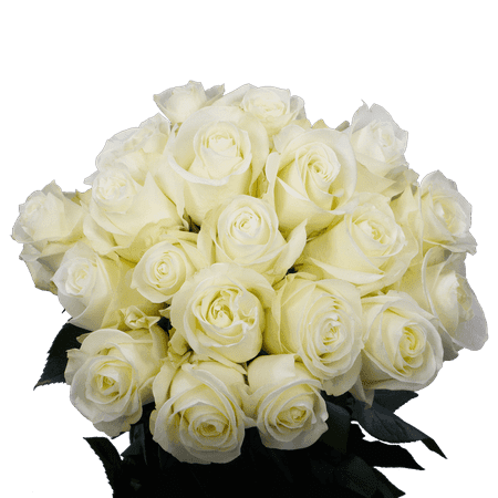 50 Stems of Assorted White Mother s Day Roses- Beautiful Fresh Cut Flowers- Next Day Delivery 50 Stems of Assorted White Mother s Day Roses- Beautiful Fresh Cut Flowers- Next Day Delivery