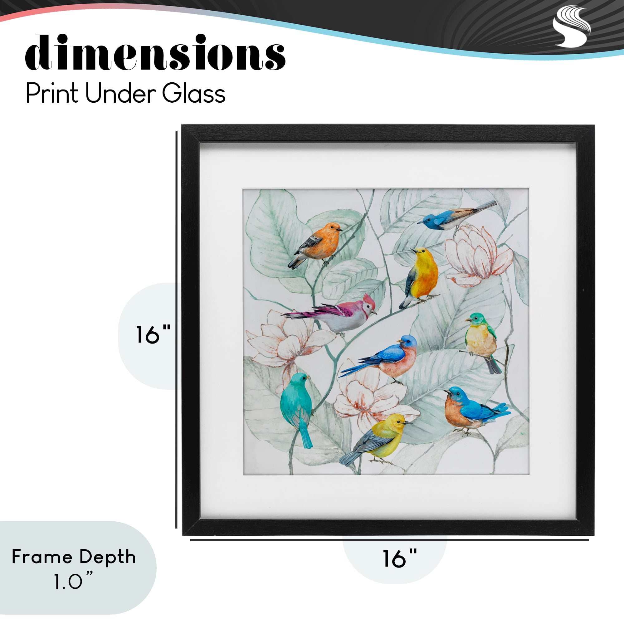 Stupell Industries Colorful Array Of Birds Black Framed Print Under Glass, design by Lorenzo Collective