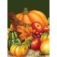 thumbnail image 1 of Diamond Painting (DB2293) Calabaza 5D DIY Square Cross Stitch Craft (B2375) 30x40cm Hugtrwg Para estrenar, 1 of 1