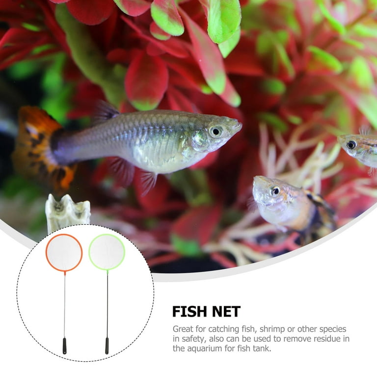 Net Fish Fishing Catching Tank Nets Goldfish Tropical Beach Insects Bugs  Telescopic Handmade Salvage Bug Toys Small 