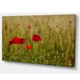 thumbnail image 2 of Red Poppy Flower Field Background - Large Flower Canvas Wall Art, 2 of 3