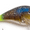 Ghost Gill, variant on Googan Squad Mini Banger 2" 1/4 oz Sexy Shad Crankbait