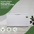 thumbnail image 6 of Hamilton Beach 14 Cu Ft Chest Freezer, White Double Door Deep Freezer for Garage, Basement, Business, Bulk Storage, 6 of 30