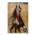 thumbnail image 2 of Trademark Fine Art "Golden Horse" Canvas Art by Joarez, 2 of 4