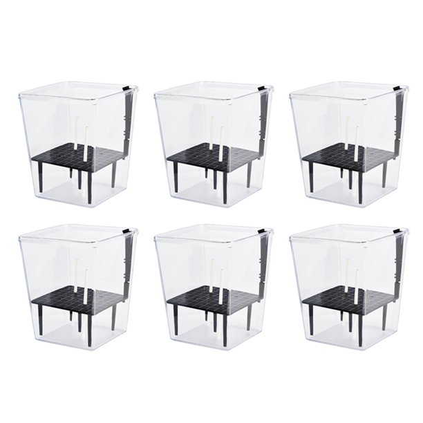 Juego de Macetas con Autorriego, Paquete de 6 Macetas con Autorriego de 5 Pulgadas para Plantas de Interior, Maceta Transparente con Profundidad para Plantas Araña