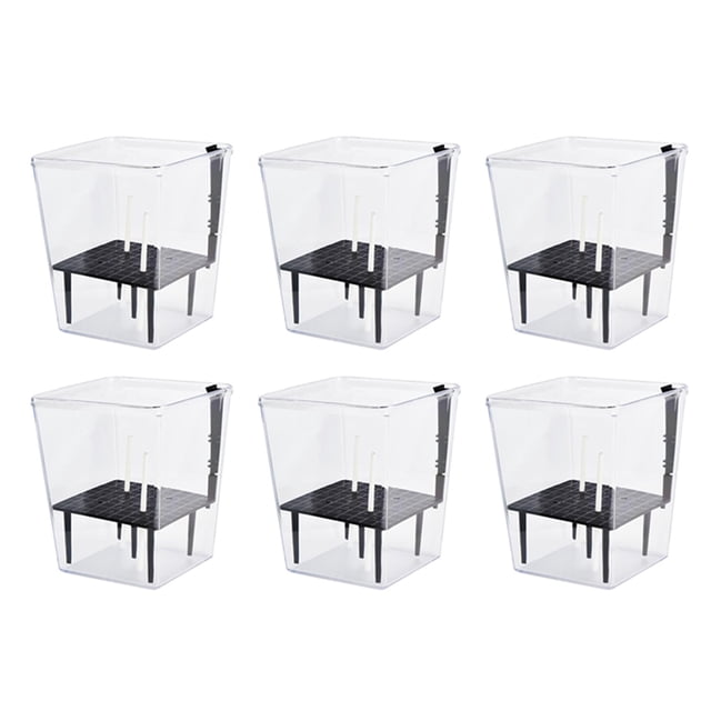 Juego de Macetas con Autorriego, Paquete de 6 Macetas con Autorriego de 5 Pulgadas para Plantas de Interior, Maceta Transparente con Profundidad para Plantas Araña