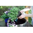 thumbnail image 5 of Gardenera Labs Organic Moisture Control Potting Mix - Absorbs 33% More Water Than Basic Potting Soil - 5 Quart, 5 of 7