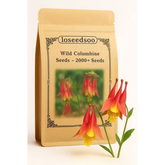 Wild Columbine Seeds by LOSEEDSOO – 2000  Perennial Flower Seeds – Attracts Hummingbirds & Butterflies – Deer & Rabbit Resistant – Easy to Grow