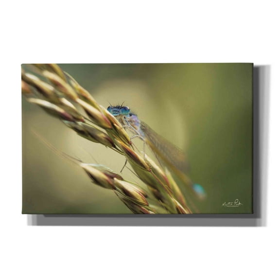 Epic Graffiti 'Damselfly' by Martin Podt, Canvas Wall Art, 40"x26"