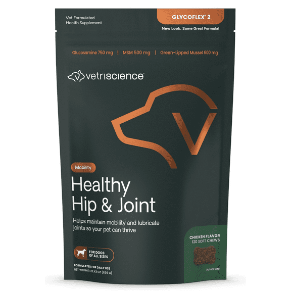 VetriScience GlycoFlex 2 Healthy Hip & Joint Chicken-Flavored Chews for Dogs, 120 count