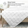 thumbnail image 2 of Bare Home Drap Plat Supérieur Collection en Microfibre Ultra Douce 1800 de Qualité Supérieure, 2 of 4