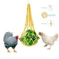thumbnail image 4 of SLYNSHome 6Pcs Chicken Toys for Coop Accessories,Chicken Swing Ladder Perch Roosts Chicken Xylophone Mirror with Bells Vegetable Fruits Hanging Chicken Feeder for Hens Bird Parrot, 4 of 6