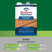 Thompsons WaterSeal Transparent Wood Sealer, Chestnut Brown, 1 Gallon