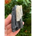 thumbnail image 1 of GAF TREASURES Large Raw Black Tourmaline with Quartz, Natural Black Tourmaline with Quartz Stone, Rough Black Tourmaline Quartz (Black Tourmaline with Quartz, 1 Piece), 1 of 8