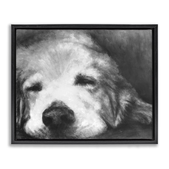 Stupell Industries Rustic Lodge Monochrome Dog Day Afternoon Black Floating Frame Canvas Art, 21 x 17, by Walt Johnson
